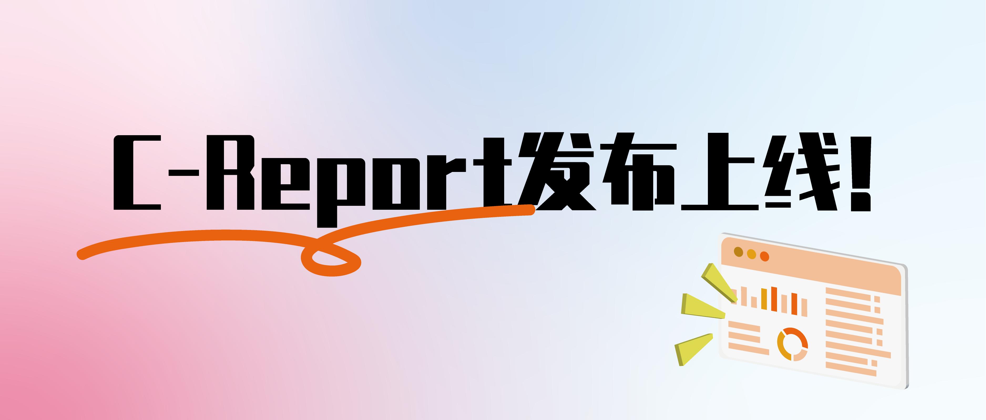 C-Report已上线5.X版本，快来搭建专属于你的仓储物流报表！