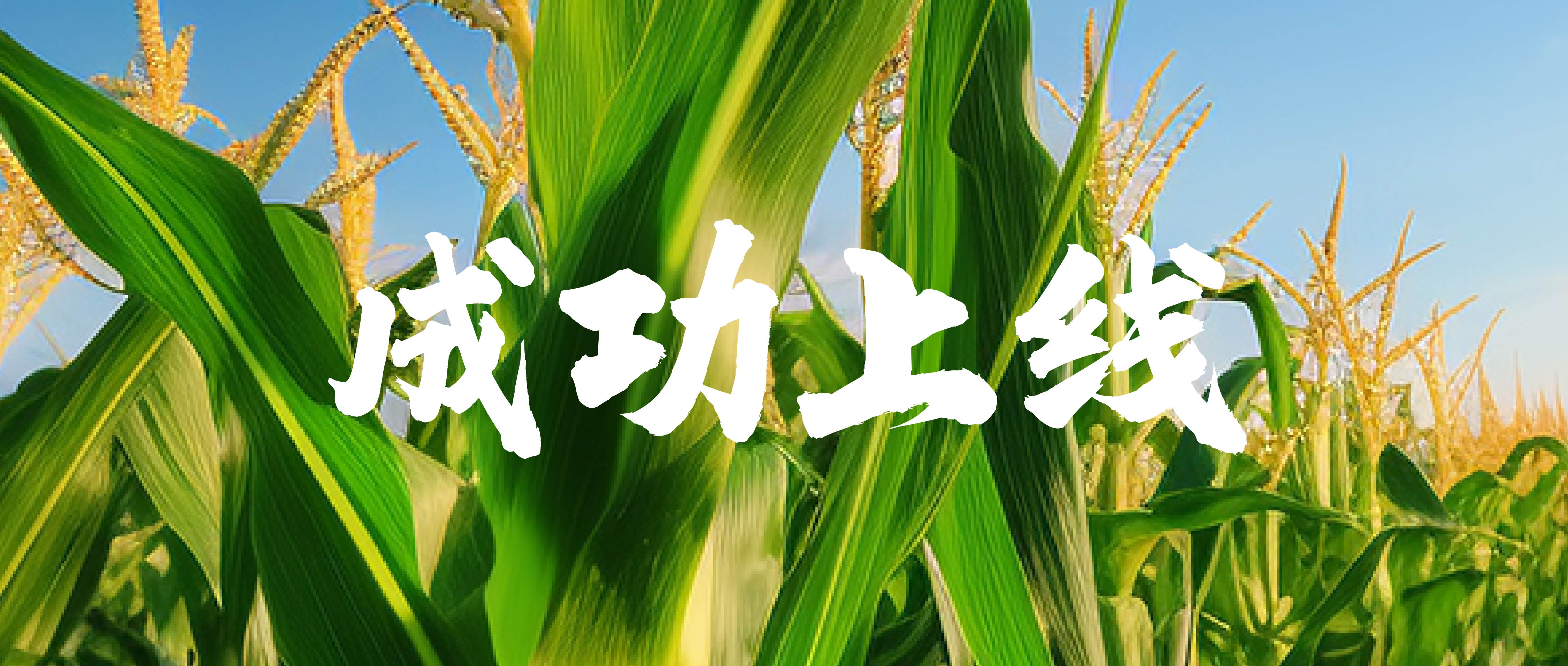 象屿北安+富锦成功上线C-WMS！三大工厂业务全覆盖
